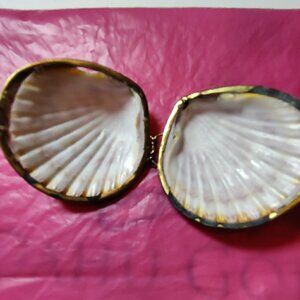 Seashell Trinket Box with Brass Trim. Used as a Pillbox, Perfume Sachet or coins